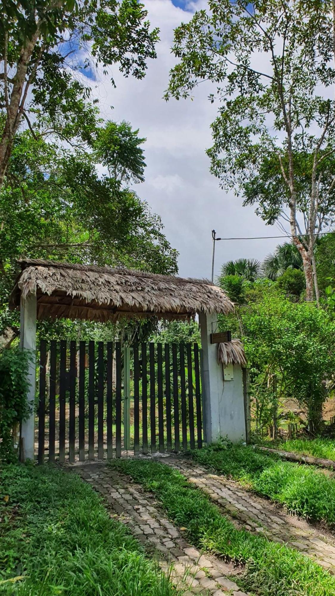 Amazona Lodge レティシア エクステリア 写真