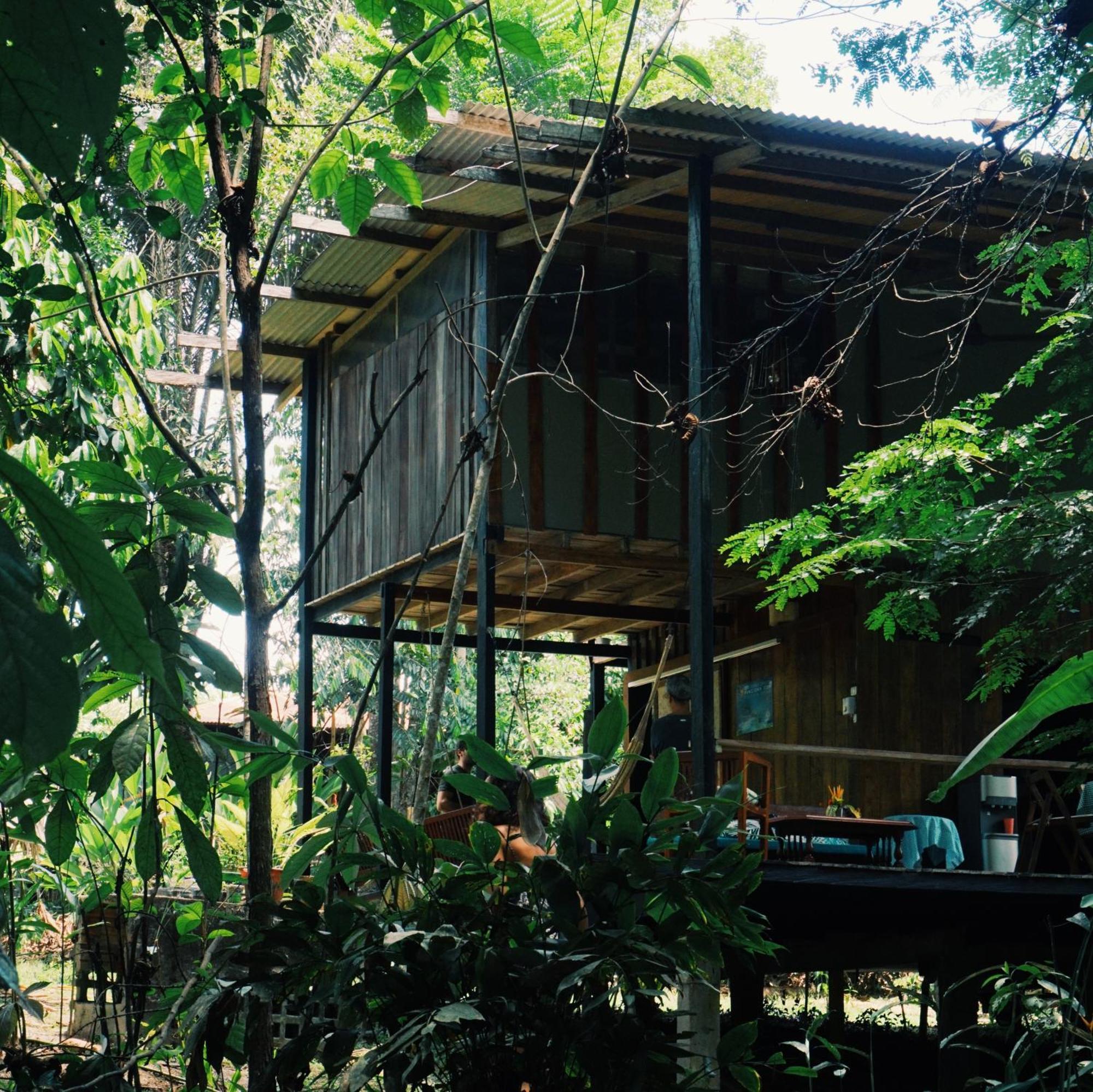 Amazona Lodge レティシア エクステリア 写真